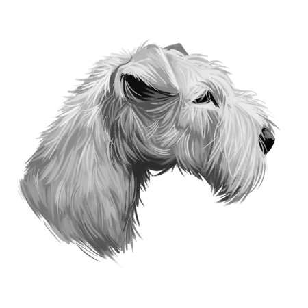 Labrador retriever portrait of purebred digital art illustration. Canadian mammal gun dog, hunting breed originated in Canada. Doggy closeup drawing with puppy lab with large ears isolated canineの写真素材