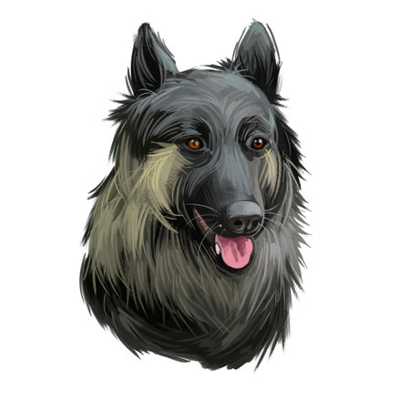 Shiloh Shepherd dog sticking out tongue pet with long fur digital art. Animalistic hand drawn portrait watercolor style closeup. Domestic animal with hairy coat, hound canine with sharp ears.の写真素材