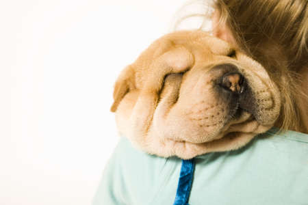 Young girl holding a pup on her shoulder sleepingの写真素材