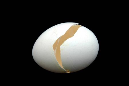 An Isolated to black image of a sngle open eggshell