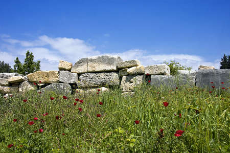 Photo of ruins against a blue sky in Turkey (Ephesus)