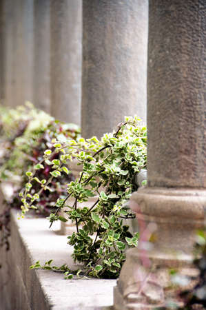 Heavy, ornate stone columns inside a temple in Peruの写真素材