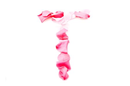 A pink letter "T" over a white background, made from beautiful pink petalsの写真素材