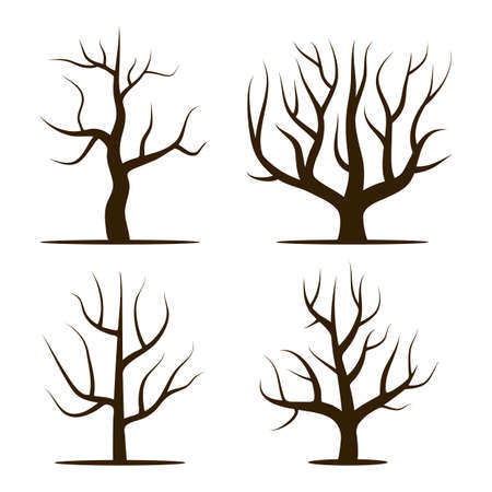 Four trees without leaves. Vector illustration isolated on white backgroundのイラスト素材