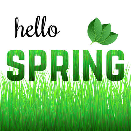 Phrase Hello Spring from grass and with green leaves.のイラスト素材