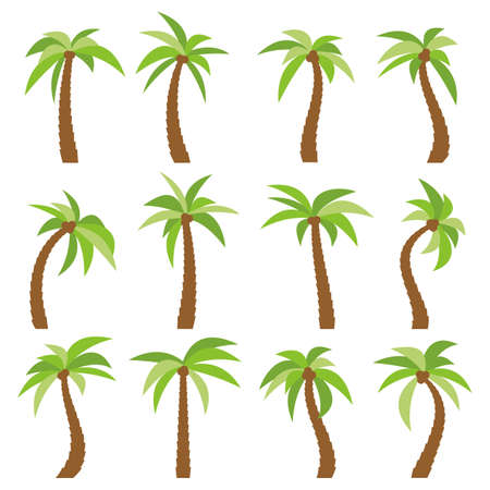 Set of sixteen different cartoon palm trees isolated on white background. Vector illustrationのイラスト素材