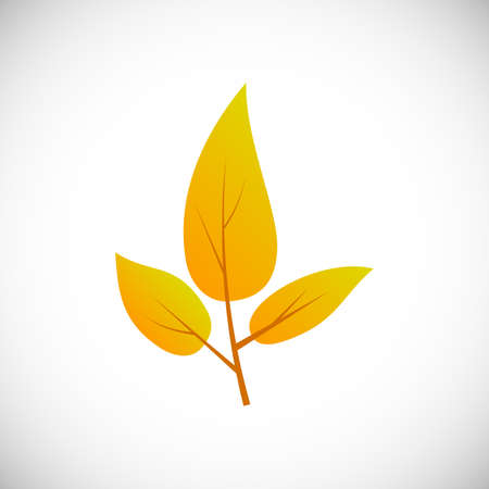Yellow leaf. Autumn leaf of a tree on a white background. Vector illustrationのイラスト素材