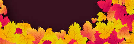 Autumn background with maple yellow leaves and place for text.  Banner design for fall season banner or poster. Vector illustrationのイラスト素材