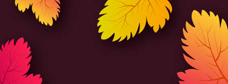 Autumn background with maple yellow leaves and place for text.  Banner design for fall season banner...