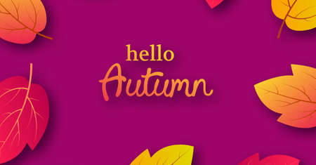 Autumn background with maple yellow leaves and place for text.  Banner design for fall season banner or poster. Vector illustrationのイラスト素材