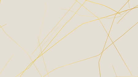 Elegant gold Kintsugi crack pattern on whitish background. Texture of golden cracks resembling broken marble. Ideal for wedding cards, posters, and luxury design templates. Vector illustrationのイラスト素材