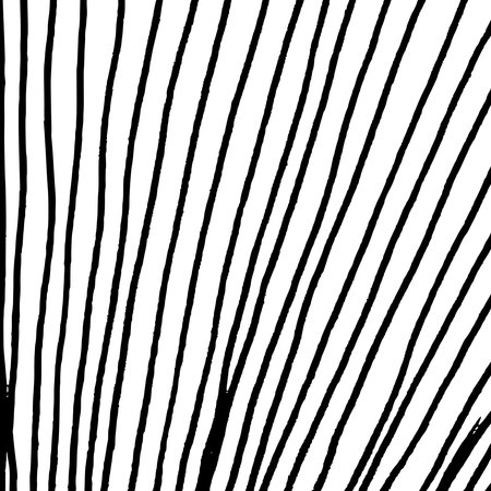 Monochrome hand-drawn crosshatch texture. Grunge and sketch background with freehand lines,...