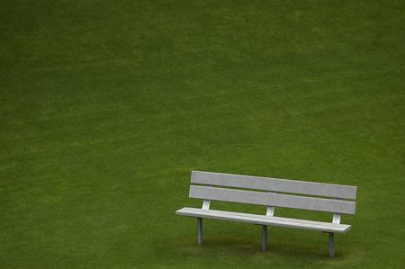 An empty bench on a park during a summer dayの写真素材