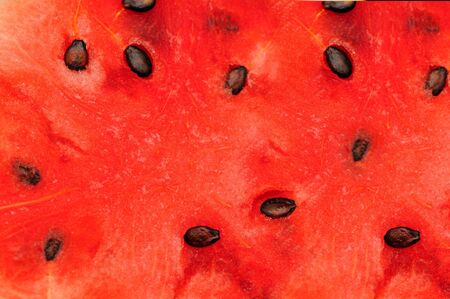 close up picture of Water melon back groundの写真素材