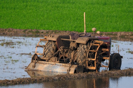 agricultural land being ploughed using an old tractyor in modern indiaの写真素材