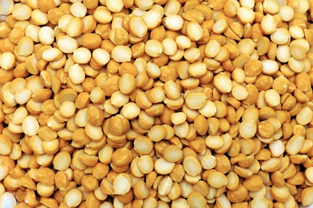 Channa dal, famous Indian legume also called yellow Pigeon peas