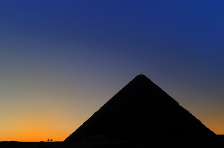 A row of camels transport tourists in front of all of the Giza Pyramids in Cairo, Egyptの写真素材