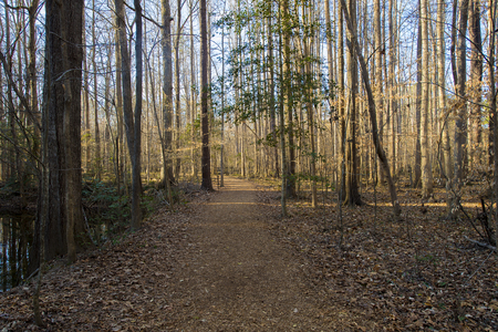 Paved trails during early springの写真素材