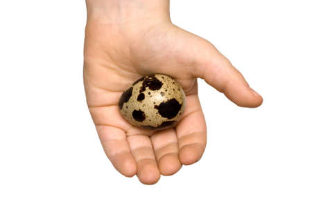 Egg in a handの写真素材
