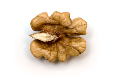 Walnut on a white background