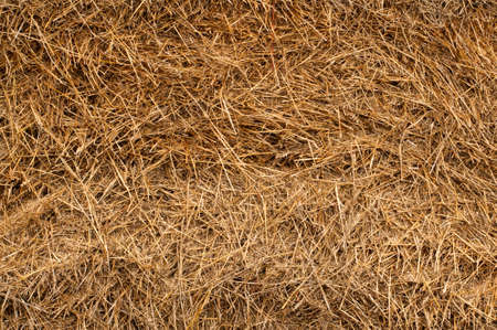 straw backgroundの写真素材