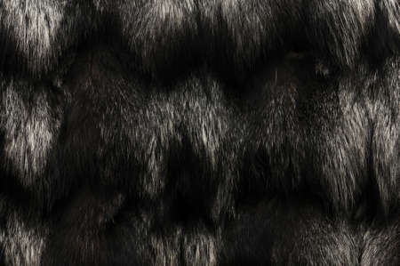 Black fur texture Closeup of beautiful. Useful as backgroundの写真素材