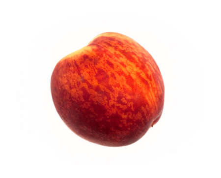 peach on white backgroundの写真素材