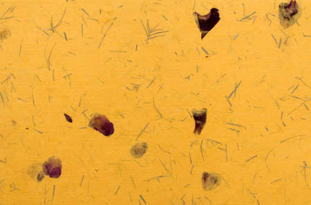 Handmade color paper for backgroundの写真素材