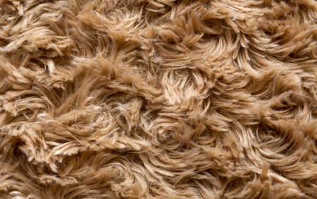 artificial fur texture for backgroundの写真素材
