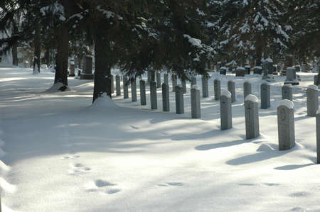 Footsprints through a military section of a graveyard in winter, Edmonton Alberta.の写真素材