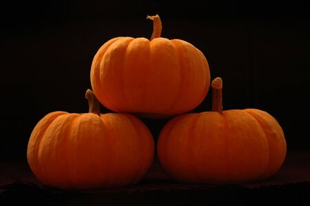 Pumpkins stacked on black backgroundの写真素材