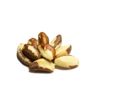 Several brazil nuts on a white background, isolatedの写真素材