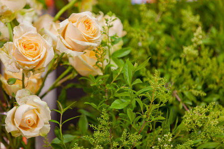 Beige roses in a bouquet on a green background. Selective focus, close-up, copy space.の写真素材