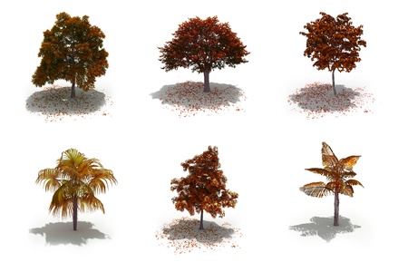 3d autumn trees pack on white with ground shadowsの写真素材