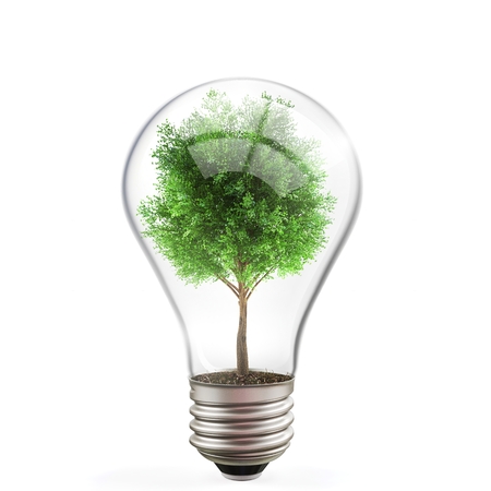 Green energy concept, tree inside light bulb on white background  3d illustrationの写真素材