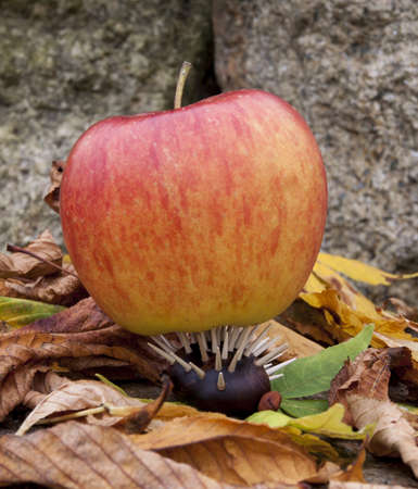 Hedgehog toy make from chestnut with apple on the stones with leafsの写真素材