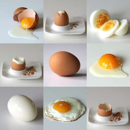 Set of nine eggs in various situation - sliced, boiled, fried, coocked