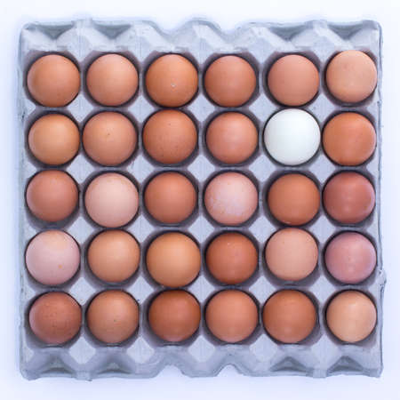29 chicken eggs and 1 duck egg on the egg panelの写真素材