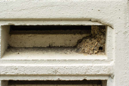 the resting place of wasp in the buildingの写真素材