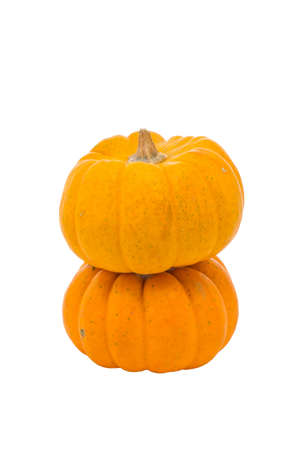 two lovely pumpkins on isolated white backgroundの写真素材