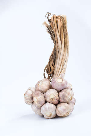 the group of garlic on white backgroundの写真素材