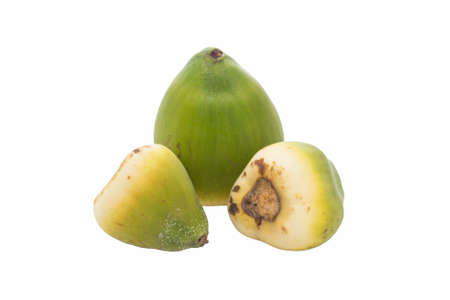 three unripe coconuts on isolated white backgroundの写真素材