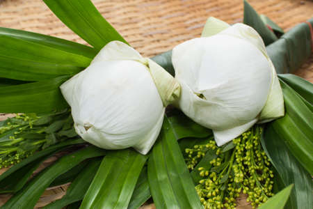 the water lily  for worship on the threshing basketの写真素材