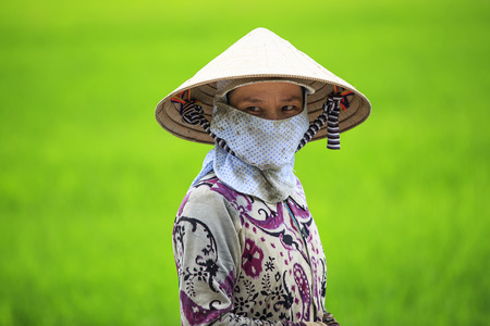 Vietnamese Farmer