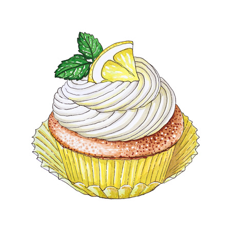 Hand Drawn Lemon Cupcakeの写真素材