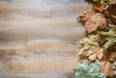 Autumn leaves in a wooden 