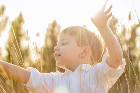 Happy cute kid in a field playing with natural spikes at summer sunset  Soft colors edition の写真素材