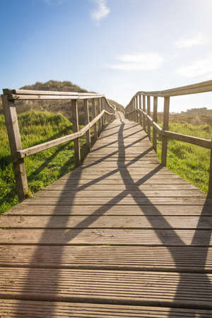 Empty wood boardwalk in a sunny day over natural fields backgroundの写真素材