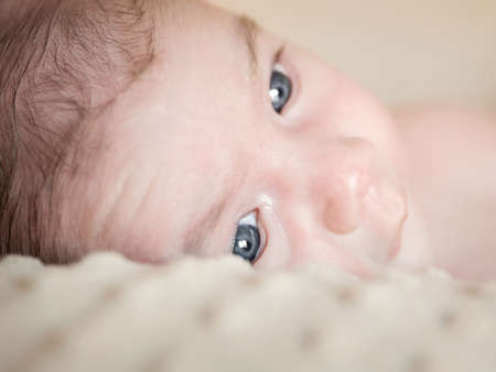Portrait of adorable newborn baby boy with open eyes lying down over a blanketの写真素材