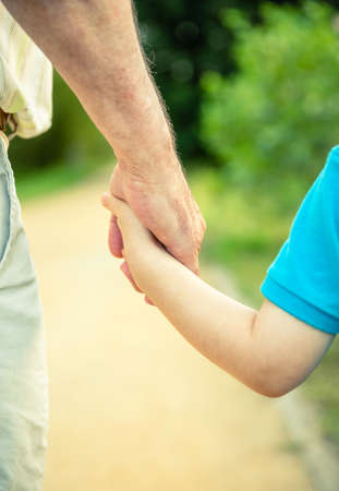 Back view of child holding hand of senior man over a nature background. Two different generations concept.の写真素材